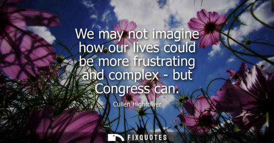 Small: We may not imagine how our lives could be more frustrating and complex - but Congress can