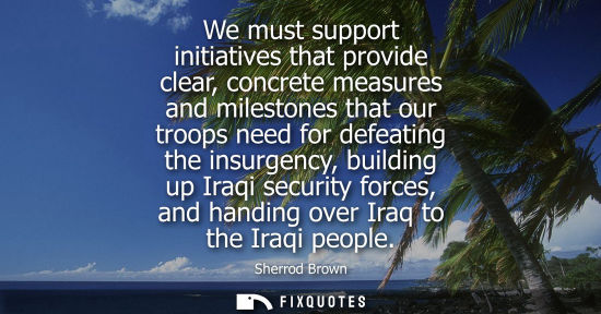 Small: We must support initiatives that provide clear, concrete measures and milestones that our troops need f
