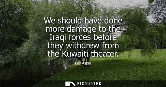 Small: We should have done more damage to the Iraqi forces before they withdrew from the Kuwaiti theater