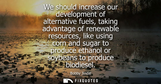Small: We should increase our development of alternative fuels, taking advantage of renewable resources, like 