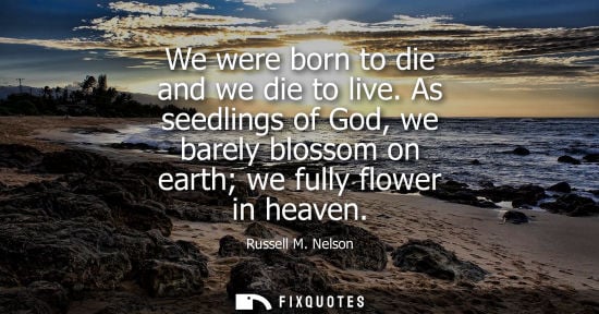 Small: We were born to die and we die to live. As seedlings of God, we barely blossom on earth we fully flower