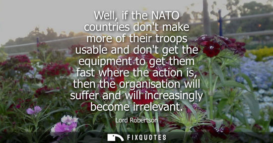 Small: Well, if the NATO countries dont make more of their troops usable and dont get the equipment to get the