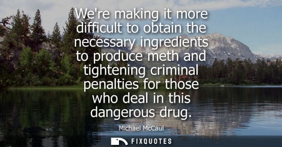 Small: Were making it more difficult to obtain the necessary ingredients to produce meth and tightening crimin