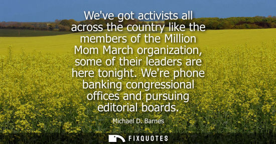 Small: Weve got activists all across the country like the members of the Million Mom March organization, some 
