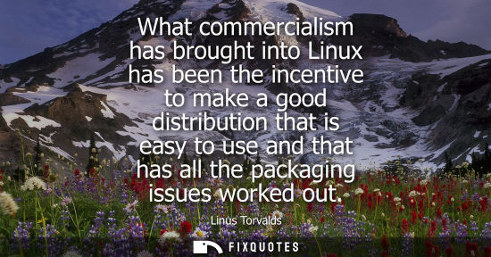 Small: What commercialism has brought into Linux has been the incentive to make a good distribution that is easy to u