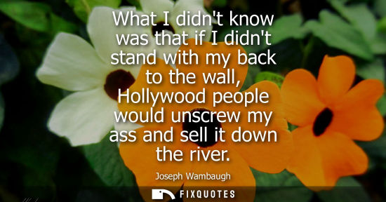Small: What I didnt know was that if I didnt stand with my back to the wall, Hollywood people would unscrew my