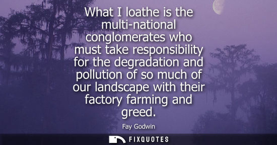 Small: What I loathe is the multi-national conglomerates who must take responsibility for the degradation and 
