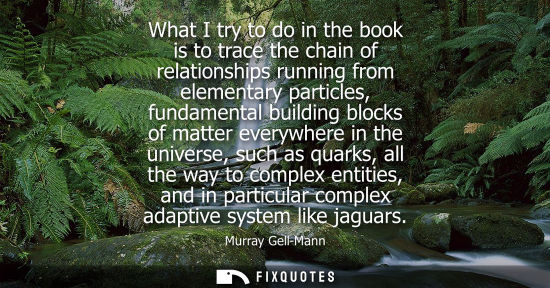Small: What I try to do in the book is to trace the chain of relationships running from elementary particles, 