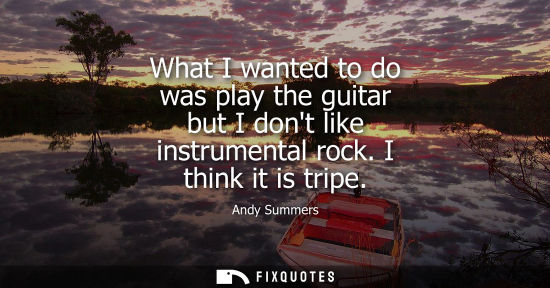 Small: What I wanted to do was play the guitar but I dont like instrumental rock. I think it is tripe