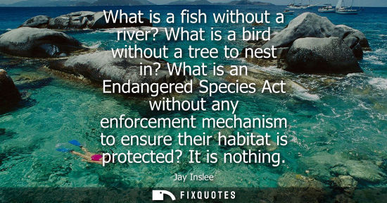 Small: What is a fish without a river? What is a bird without a tree to nest in? What is an Endangered Species