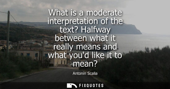 Small: What is a moderate interpretation of the text? Halfway between what it really means and what youd like 
