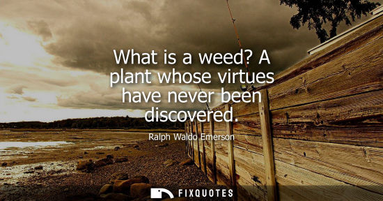 Small: What is a weed? A plant whose virtues have never been discovered