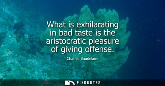 Small: What is exhilarating in bad taste is the aristocratic pleasure of giving offense