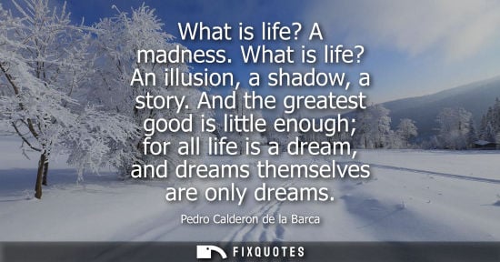 Small: What is life? A madness. What is life? An illusion, a shadow, a story. And the greatest good is little 