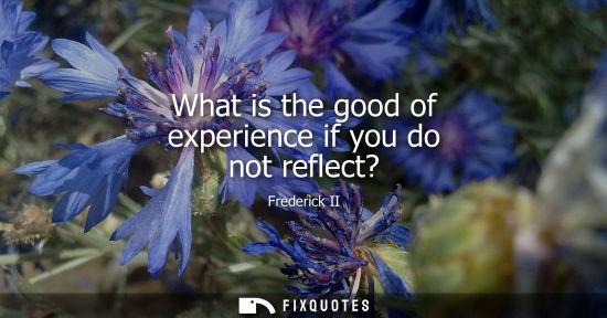 Small: What is the good of experience if you do not reflect?