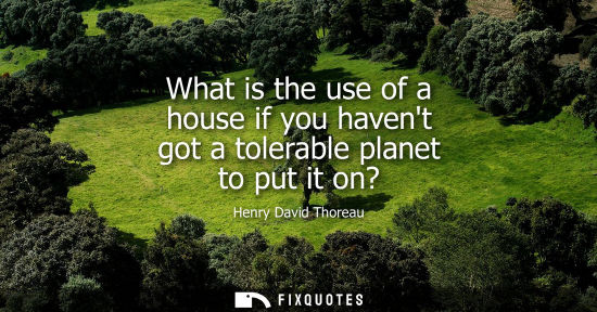 Small: What is the use of a house if you havent got a tolerable planet to put it on?