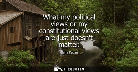 Small: What my political views or my constitutional views are just doesnt matter