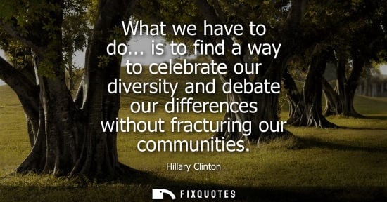 Small: What we have to do... is to find a way to celebrate our diversity and debate our differences without fr