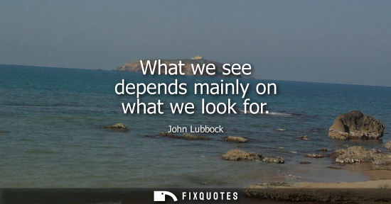 Small: What we see depends mainly on what we look for