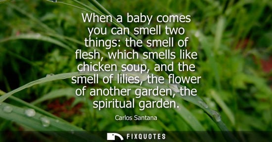 Small: When a baby comes you can smell two things: the smell of flesh, which smells like chicken soup, and the