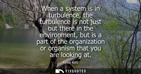 Small: When a system is in turbulence, the turbulence is not just out there in the environment, but is a part of the 