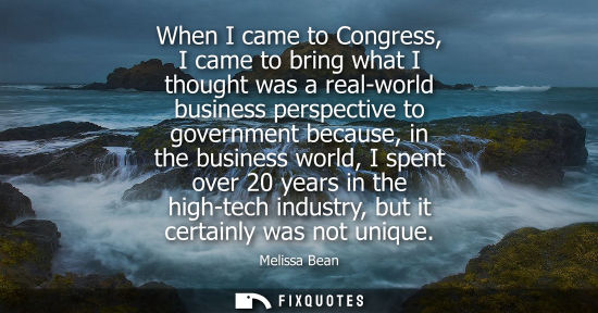 Small: When I came to Congress, I came to bring what I thought was a real-world business perspective to govern