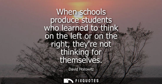 Small: When schools produce students who learned to think on the left or on the right, theyre not thinking for