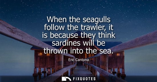 Small: When the seagulls follow the trawler, it is because they think sardines will be thrown into the sea