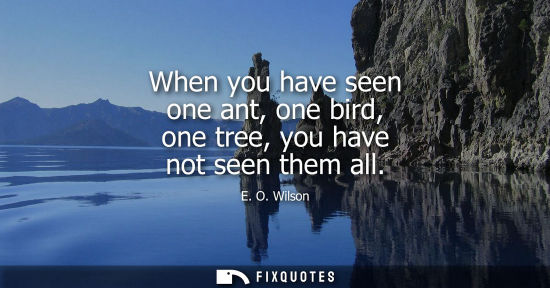 Small: When you have seen one ant, one bird, one tree, you have not seen them all