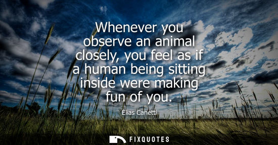 Small: Whenever you observe an animal closely, you feel as if a human being sitting inside were making fun of you