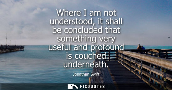 Small: Where I am not understood, it shall be concluded that something very useful and profound is couched underneath