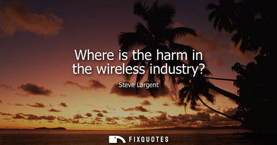 Small: Where is the harm in the wireless industry?