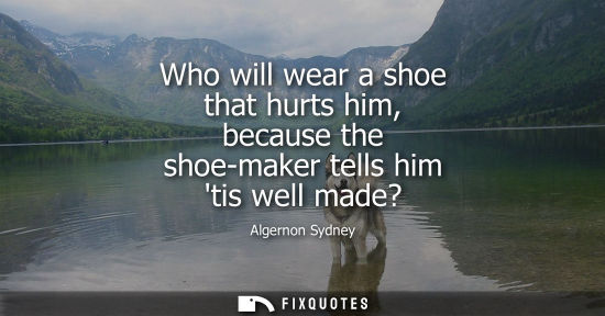 Small: Who will wear a shoe that hurts him, because the shoe-maker tells him tis well made?