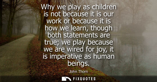 Small: Why we play as children is not because it is our work or because it is how we learn, though both statem