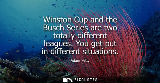 Small: Winston Cup and the Busch Series are two totally different leagues. You get put in different situations