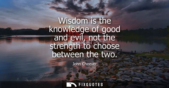 Small: Wisdom is the knowledge of good and evil, not the strength to choose between the two