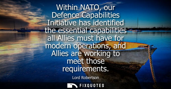 Small: Within NATO, our Defence Capabilities Initiative has identified the essential capabilities all Allies m