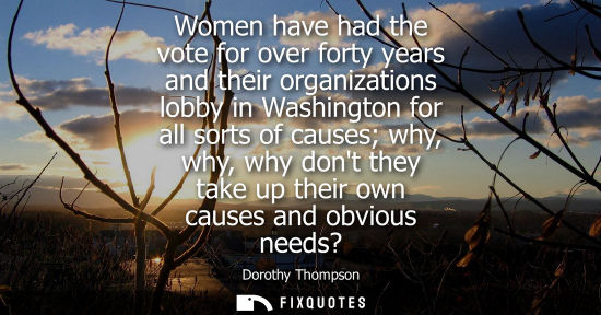 Small: Women have had the vote for over forty years and their organizations lobby in Washington for all sorts 