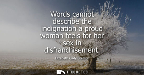 Small: Words cannot describe the indignation a proud woman feels for her sex in disfranchisement