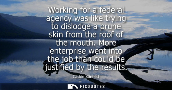 Small: Working for a federal agency was like trying to dislodge a prune skin from the roof of the mouth.