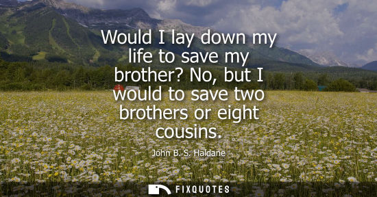 Small: Would I lay down my life to save my brother? No, but I would to save two brothers or eight cousins