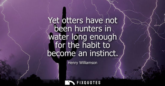 Small: Yet otters have not been hunters in water long enough for the habit to become an instinct