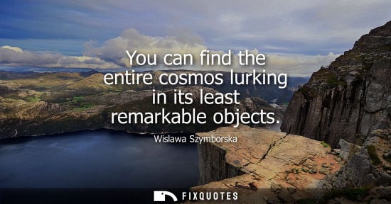 Small: You can find the entire cosmos lurking in its least remarkable objects