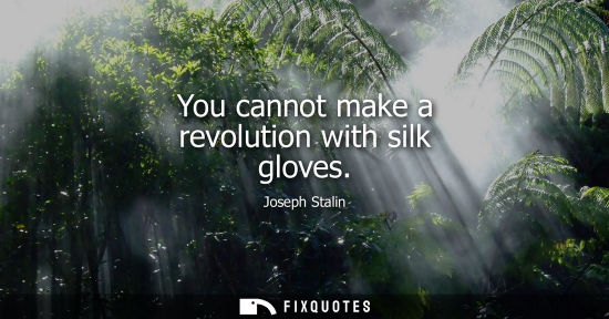 Small: You cannot make a revolution with silk gloves