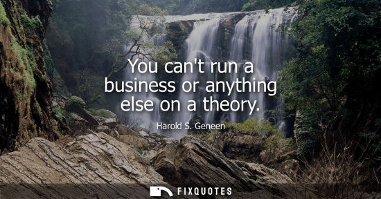 Small: You cant run a business or anything else on a theory