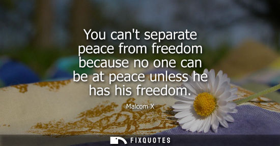 Small: You cant separate peace from freedom because no one can be at peace unless he has his freedom