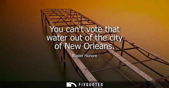Small: You cant vote that water out of the city of New Orleans