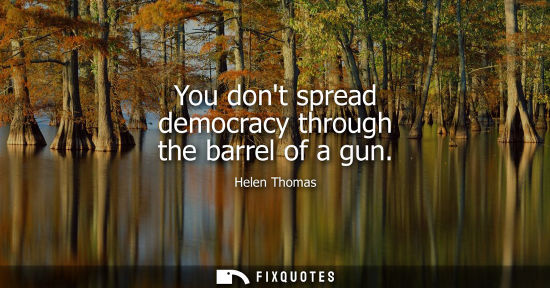 Small: You dont spread democracy through the barrel of a gun