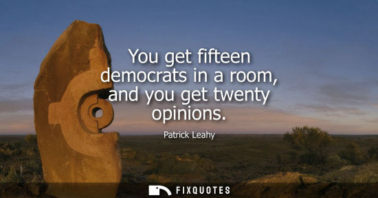 Small: You get fifteen democrats in a room, and you get twenty opinions