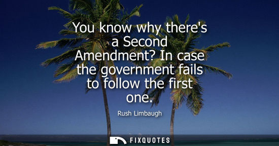 Small: You know why theres a Second Amendment? In case the government fails to follow the first one